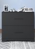 2 -Drawer Lateral Filing Cabinet,Storage Filing Cabinet for Home Office, Black
