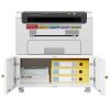 Office Copier File Cabinet, Mobile Lateral Filing Cabinet with 2 Door, Rolling File Cabinet, Printer Stand for Legal/Letter/A4 File