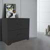 2 -Drawer Lateral Filing Cabinet,Storage Filing Cabinet for Home Office, Black