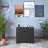 2 -Drawer Lateral Filing Cabinet,Storage Filing Cabinet for Home Office, Black