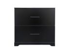 2 -Drawer Lateral Filing Cabinet,Storage Filing Cabinet for Home Office, Black