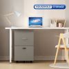 File cabinet with two drawers with lock,Hanging File Folders A4 or Letter Size, Small Rolling File Cabinet Printer Stand office storage cabinet Office