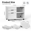 Sweetcrispy Filing Cabinet, 4-Drawer File Cabinet for Home Office, Mobile Lateral Filing Cabinet, Printer Stand with Open Storage Shelves for Kids Roo