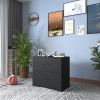 2 -Drawer Lateral Filing Cabinet,Storage Filing Cabinet for Home Office, Black