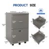 File cabinet with two drawers with lock,Hanging File Folders A4 or Letter Size, Small Rolling File Cabinet Printer Stand office storage cabinet Office