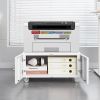 Office Copier File Cabinet, Mobile Lateral Filing Cabinet with 2 Door, Rolling File Cabinet, Printer Stand for Legal/Letter/A4 File